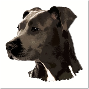 American Staffordshire Terrier - Amstaff Posters and Art